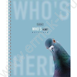 Тетрадь  48л клетка/спираль "Кто здесь?" /перфорация/ламинац.SOFT-TOUCH/4вида NEW | Фото 3