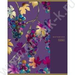 Тетрадь  96л клетка "Золотые фрукты" /глянц. ламин. /5видов NEW | Фото 4