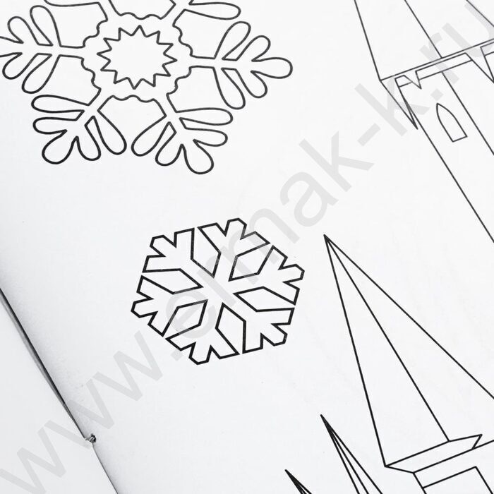 Раскраска А4 Снежная академия NEW | Фото 5