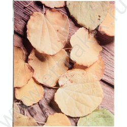 Фотоальбом /200фот./ 10*15  ПП карм. NEW | Фото 3