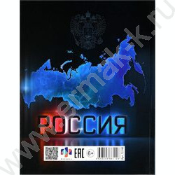 Дневник 1-11кл. /тв.обл./глянец "Россия" NEW | Фото 7