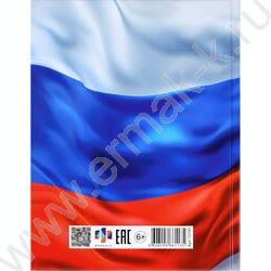 Дневник 1-11кл. /тв.обл./глянец "Триколор на белом" NEW | Фото 7