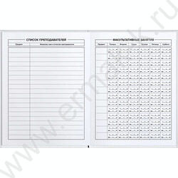 Дневник 1-11кл. /тв.обл./фольга/глянец "Оч пофиг кот" NEW | Фото 3