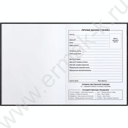 Дневник 1-11кл. /тв.обл./фольга/глянец "Котики" NEW | Фото 2