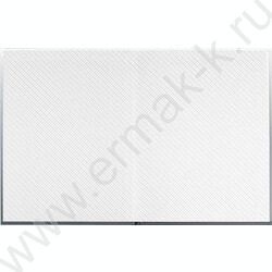 Дневник 1-11кл. /тв.обл./мат.лам. "Фразы с характером" NEW | Фото 2