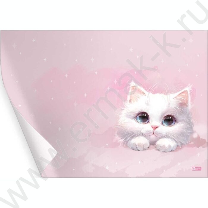 Пленка д/уроков труда 50*70см "Белый кот" ПВХ 130мкм ПЭТ-пакет с европодвесом NEW | Фото 1
