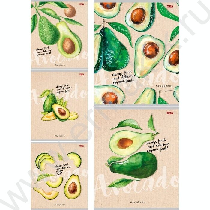 Тетрадь  48л клетка "Авокадомания-1" ассорти NEW | Фото 1