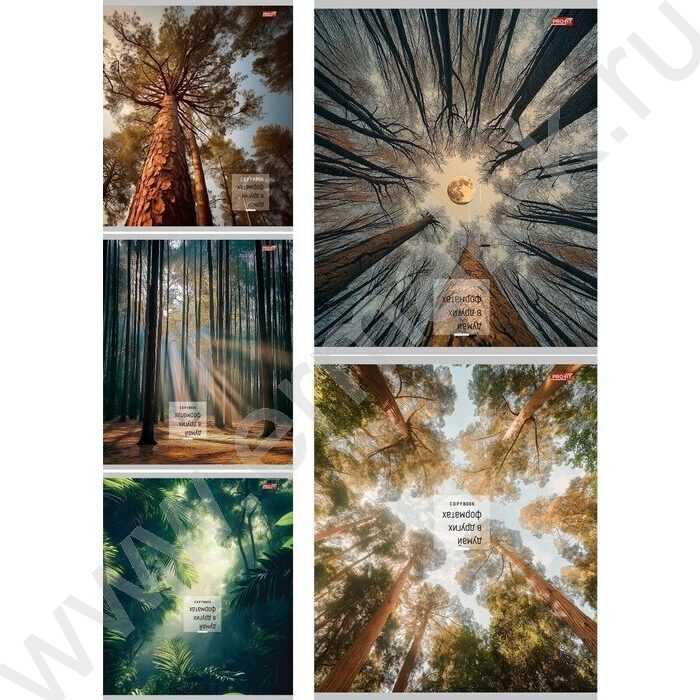 Тетрадь  48л клетка "Природный микс" ассорти NEW | Фото 1