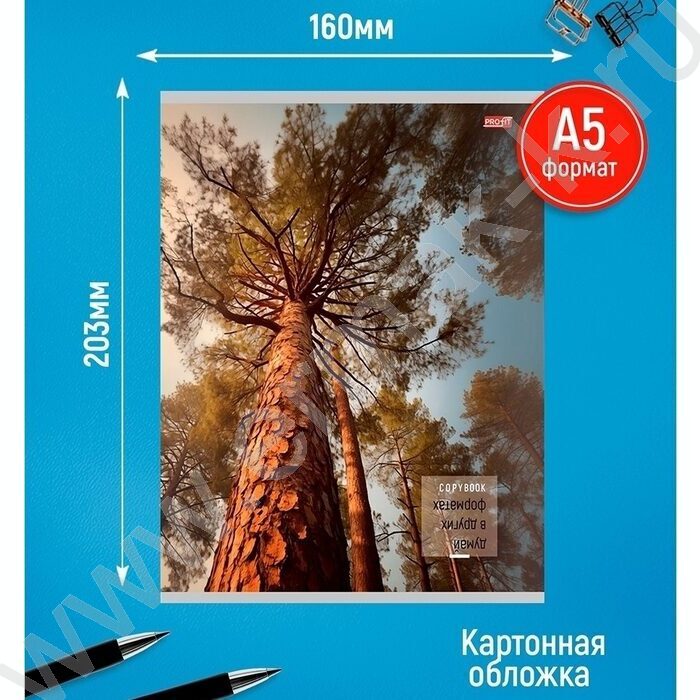 Тетрадь  48л клетка "Природный микс" ассорти NEW | Фото 3