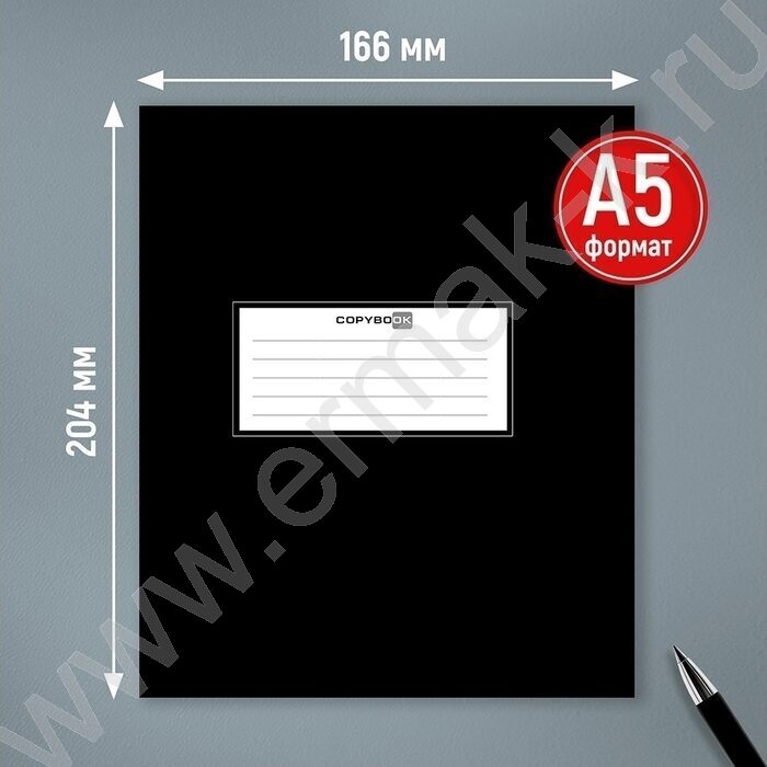 Тетрадь  48л клетка "Черная классика-1" ассорти NEW | Фото 3