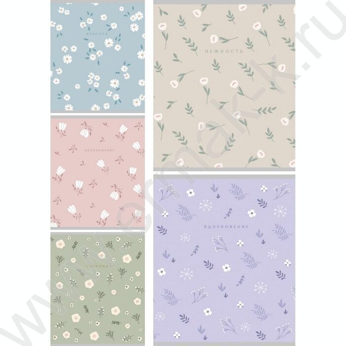 Тетрадь  48л клетка "Нежные цветы" ассорти NEW | Фото 1