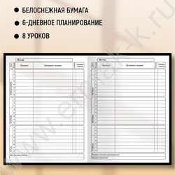 Дневник 1-11кл. /тв.обл./глянец/лен "Смешной котик" NEW | Фото 3