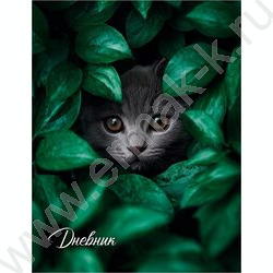 Дневник 5-11кл. /тв.обл./глянец "Кот в листьях" NEW | Фото 1