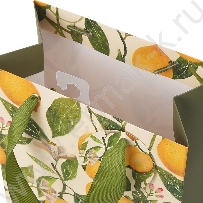 Пакет подарочный бумажный 18*23*10см Flora.Paradise.Lemons NEW | Фото 2