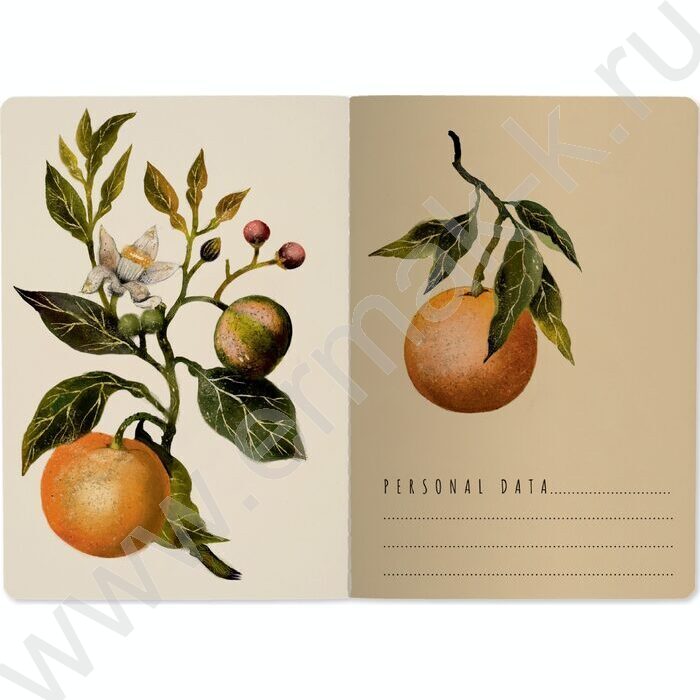 Тетрадь  40л клетка "Flora.Paradaise.Oranges" 70 г/м2 бежевая бумага NEW | Фото 3