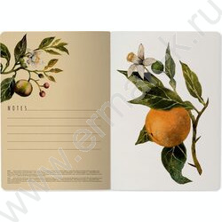 Тетрадь  40л клетка "Flora.Paradaise.Oranges" 70 г/м2 бежевая бумага NEW | Фото 5