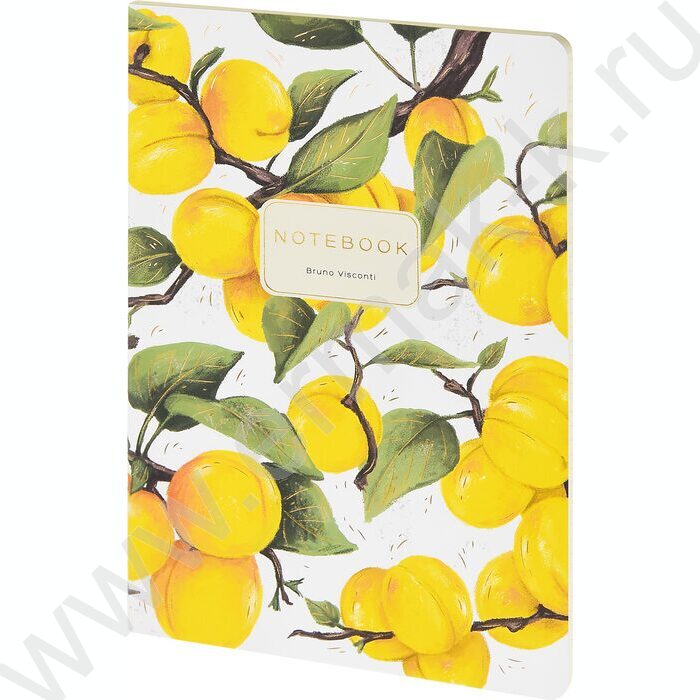 Тетрадь  40л клетка "Flora.Paradaise.Абрикосы" 70 г/м2 бежевая бумага NEW | Фото 1