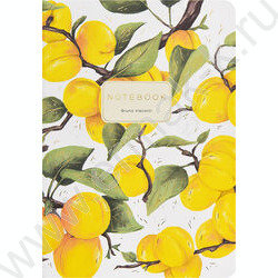 Тетрадь  40л клетка "Flora.Paradaise.Абрикосы" 70 г/м2 бежевая бумага NEW | Фото 2