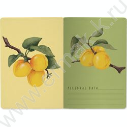 Тетрадь  40л клетка "Flora.Paradaise.Абрикосы" 70 г/м2 бежевая бумага NEW | Фото 3