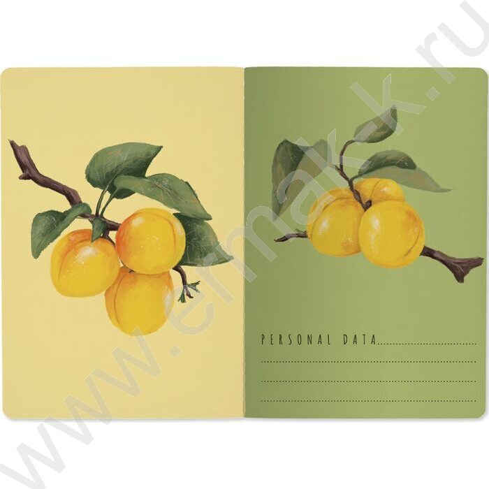 Тетрадь  40л клетка "Flora.Paradaise.Абрикосы" 70 г/м2 бежевая бумага NEW | Фото 3