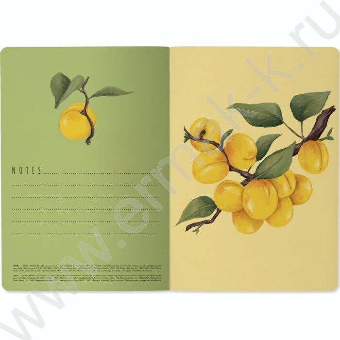 Тетрадь  40л клетка "Flora.Paradaise.Абрикосы" 70 г/м2 бежевая бумага NEW | Фото 6