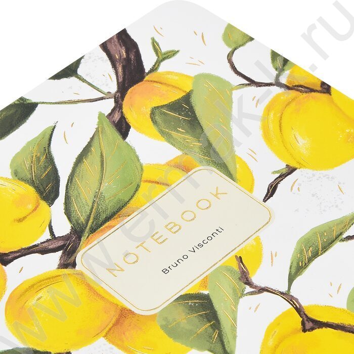 Тетрадь  40л клетка "Flora.Paradaise.Абрикосы" 70 г/м2 бежевая бумага NEW | Фото 8