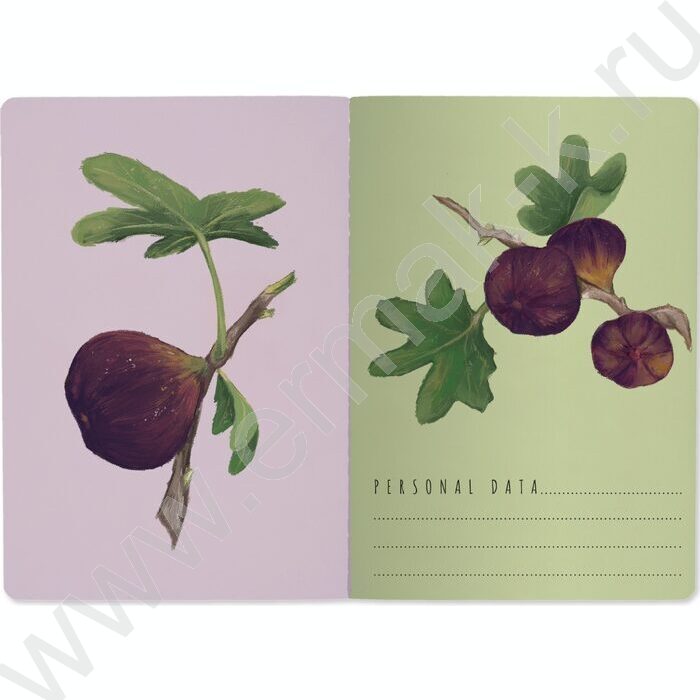 Тетрадь  40л клетка "Flora.Paradaise.Инжир" 70 г/м2 бежевая бумага NEW | Фото 3