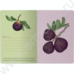 Тетрадь  40л клетка "Flora.Paradaise.Инжир" 70 г/м2 бежевая бумага NEW | Фото 6