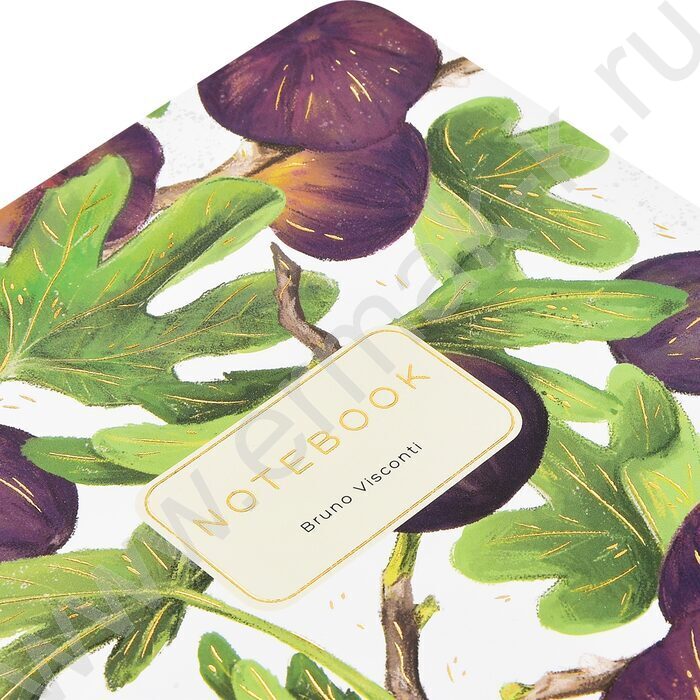 Тетрадь  40л клетка "Flora.Paradaise.Инжир" 70 г/м2 бежевая бумага NEW | Фото 8