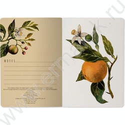 Тетрадь  40л линейка "Flora.Paradaise.Oranges" 70 г/м2 бежевая бумага NEW | Фото 3