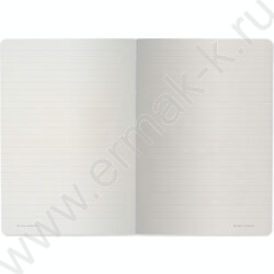 Тетрадь  40л линейка "Flora.Paradaise.Лимоны" 70 г/м2 бежевая бумага NEW | Фото 4