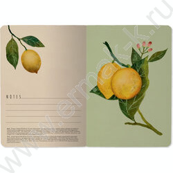 Тетрадь  32л А6 линейка "Flora.Paradaise.Лимоны" 70 г/м2 бежевая бумага NEW | Фото 5