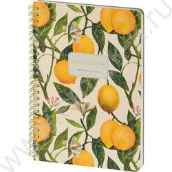 Тетрадь  60л клетка/спираль "Flora.Paradaise.Лимоны" 70 г/м2 бежевая бумага,мат.лам.Soft Touch,  NEW | Фото 1