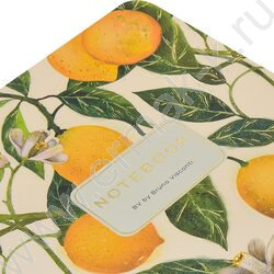 Тетрадь  60л клетка/спираль "Flora.Paradaise.Лимоны" 70 г/м2 бежевая бумага,мат.лам.Soft Touch,  NEW | Фото 4
