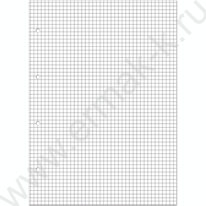 Тетрадь  80л клетка/кольца "Flora.Paradaise.Лимоны" сменный блок NEW | Фото 2