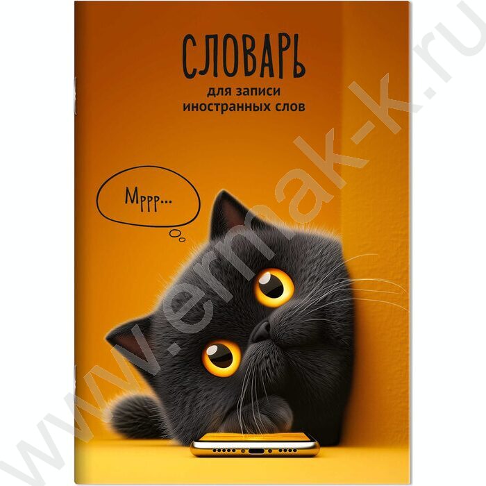 Тетрадь 24л А5 д/записей иностранных слов "Кот с телефоном" NEW | Фото 1
