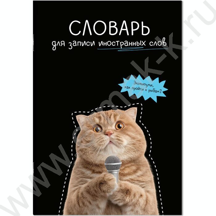 Тетрадь 24л А5 д/записей иностранных слов "Кот с микрофоном" NEW | Фото 1