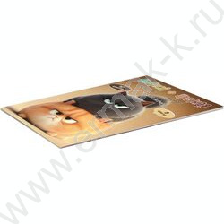 Картон цв+бум.цв А4 26л 10цв(10л)/ 8цв(16л) "Персик и дымок" блок - газетная бумага, мелованный  NEW | Фото 2