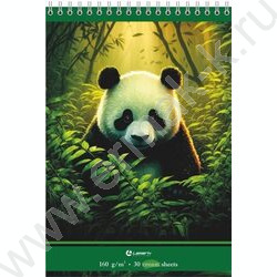 Скетчбук  30л А5 спираль сверху "Панда" /твердая подложка, кремовая бумага  160г/кв NEW | Фото 1