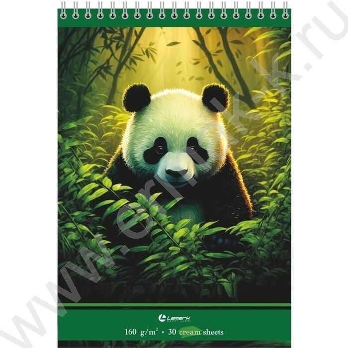Скетчбук  30л А5 спираль сверху "Панда" /твердая подложка, кремовая бумага  160г/кв NEW | Фото 1
