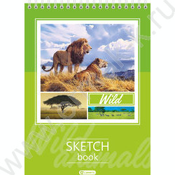 Скетчбук  30л А5 спираль сверху "Лев и львица" /твердая подложка, 120г/кв NEW | Фото 1