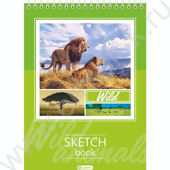 Скетчбук  30л А5 спираль сверху "Лев и львица" /твердая подложка, 120г/кв NEW | Фото 1