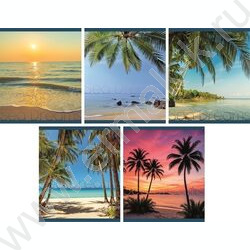 Тетрадь  48л клетка "Море" /мел.карт. /ассорти NEW | Фото 1