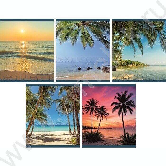 Тетрадь  48л клетка "Море" /мел.карт. /ассорти NEW | Фото 1