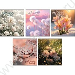 Тетрадь  48л клетка "Утро" /мел.карт. /ассорти NEW | Фото 1