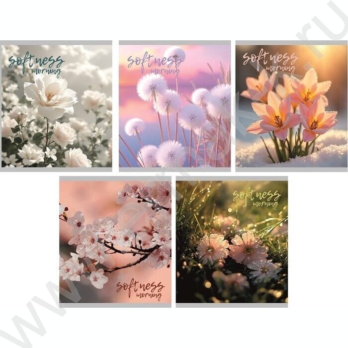 Тетрадь  48л клетка "Утро" /мел.карт. /ассорти NEW | Фото 1