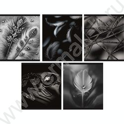 Тетрадь  48л клетка "Элегантный черный" /мел.карт. /ассорти NEW | Фото 1