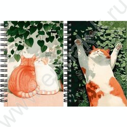 Зап. книжка 120л А6 спираль "Солнечные котики-1" NEW | Фото 1