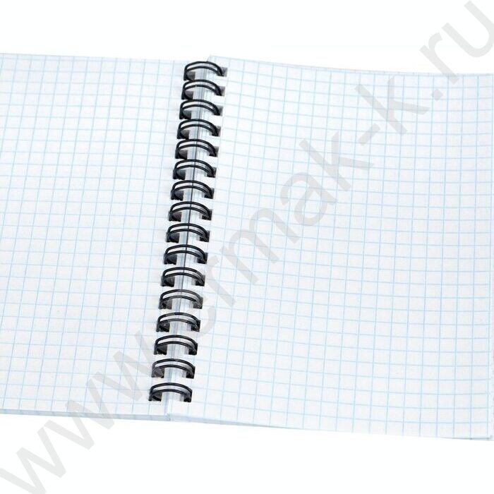 Зап. книжка 120л А6 спираль "Солнечные котики-1" NEW | Фото 2