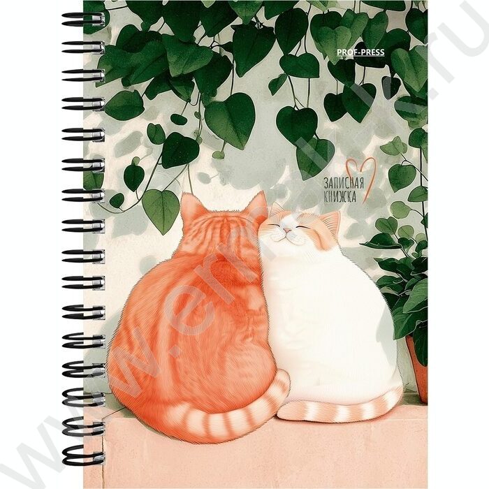 Зап. книжка 120л А6 спираль "Солнечные котики-1" NEW | Фото 4